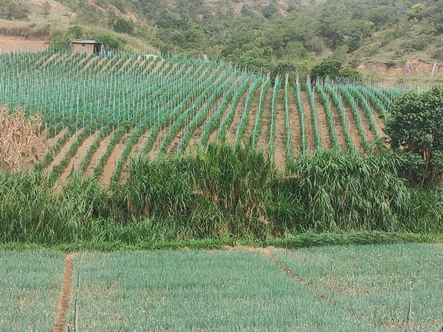 imagen_asistencia_tecnica_productiva